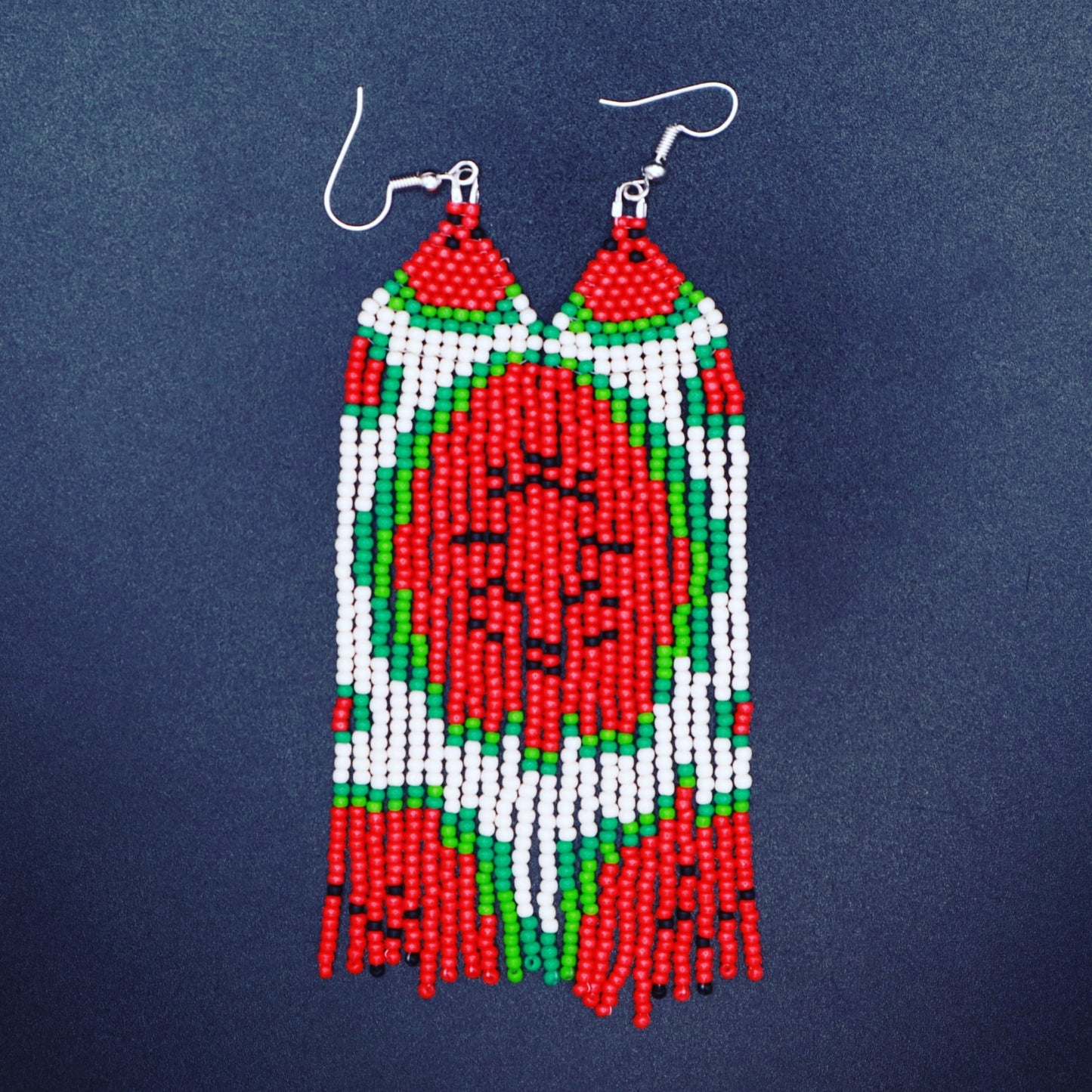 Watermelon Fun in the Sun Earrings 2pc